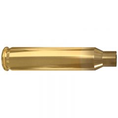 223 Remington Match Brass