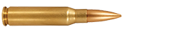 308 Winchester 155.5 Grain Fullbore