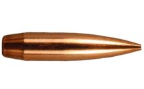 22 Caliber 80.5gr Fullbore Target