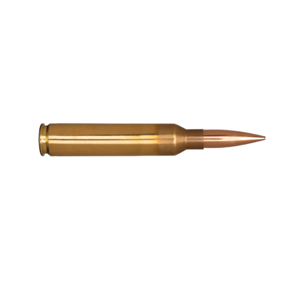 300 PRC 205 Grain Elite Hunter Rifle Ammunition